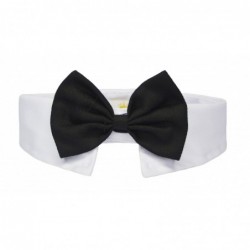 Collar with a bow tie...