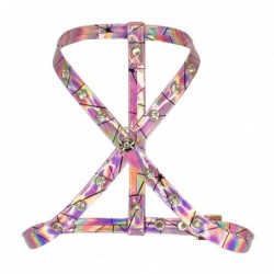 Harness Holographic Type D