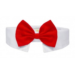 Collar with bow tie...